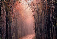 半岛体育教练-携手奋进：柏林赫塔球员兢兢业业，力争实现连胜