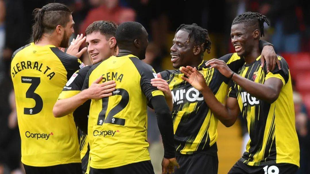 沃特福德宣布俱乐部更换主教练