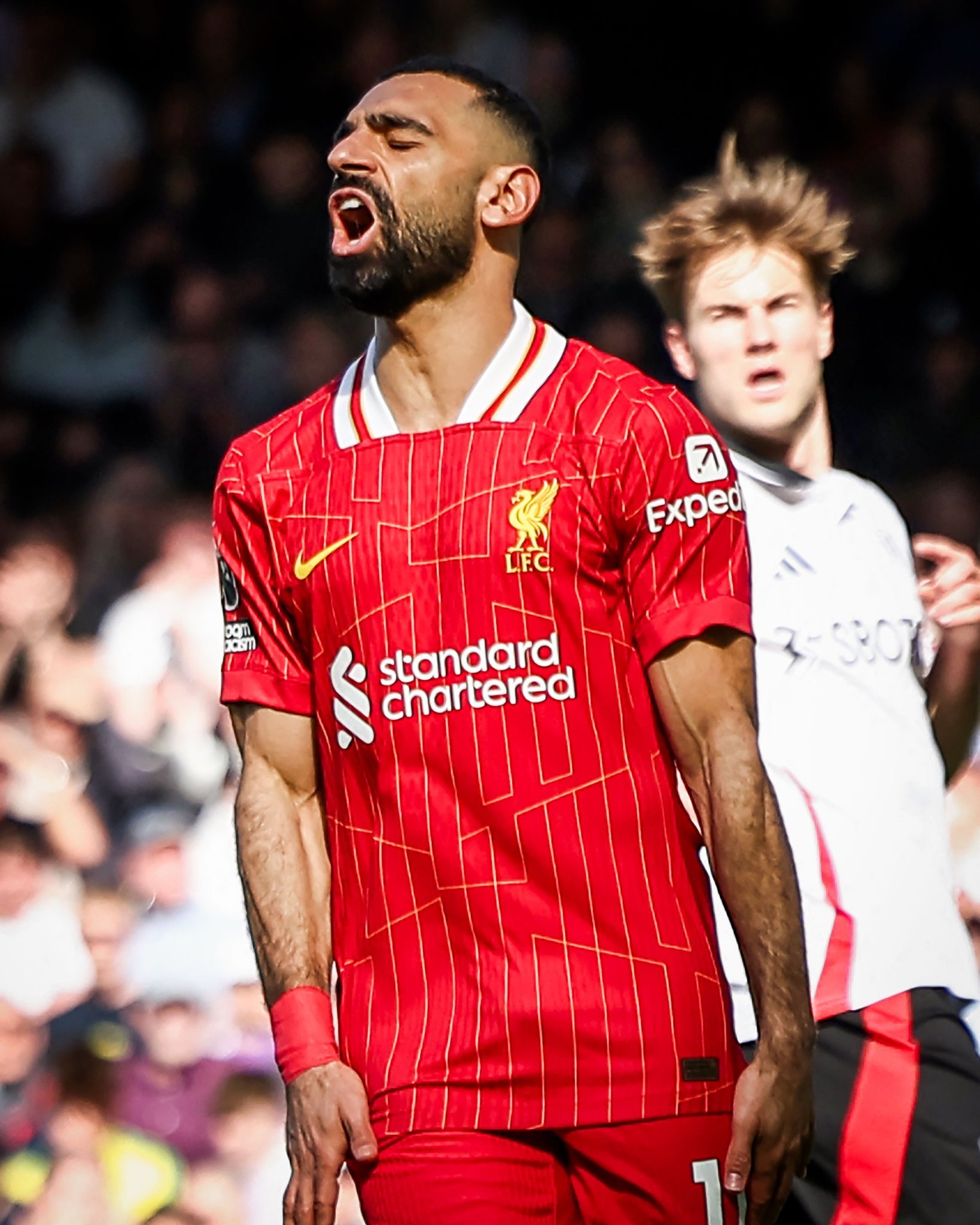 半岛体育官方-关于富勒姆主场惨败，连续遭遇三场失利的信息