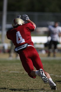 西悉尼流浪者赛前体能检测通过，争冠筹备顺利