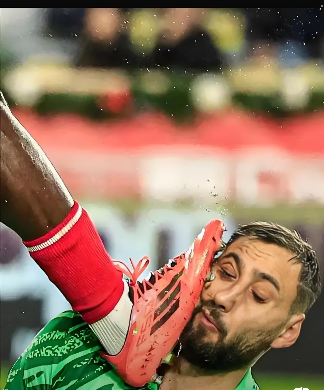 半岛体育网页版入口-摩纳哥踢出好球，迈向法甲巅峰