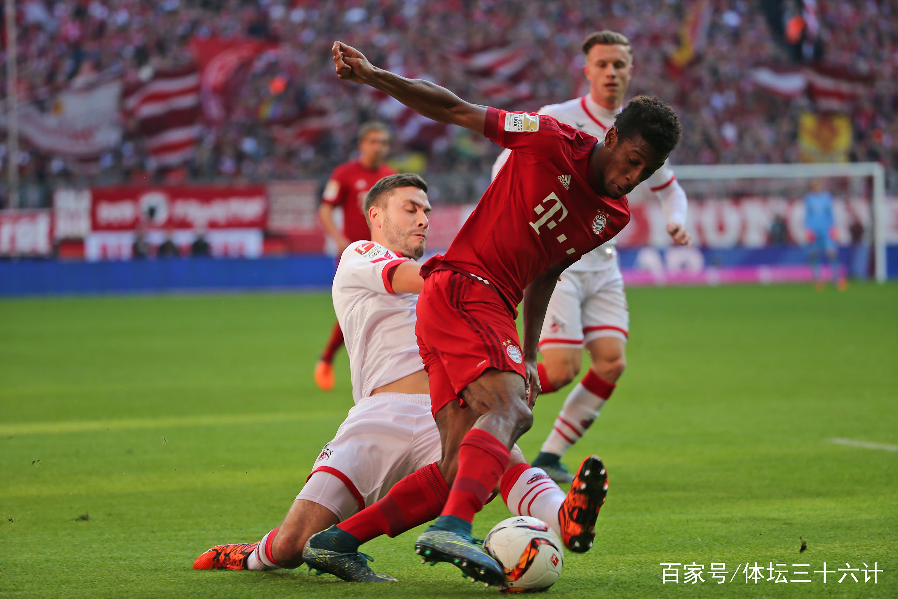 科隆主场失利,保级梦魇再现,陷入保级区深渊的简单介绍 科隆主场失利,保级梦魇再现,陷入保级区深渊的简单介绍